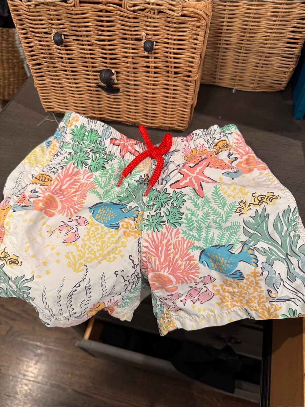 Women’s Multicolor Coral Reef Print Shorts with Red Drawstring